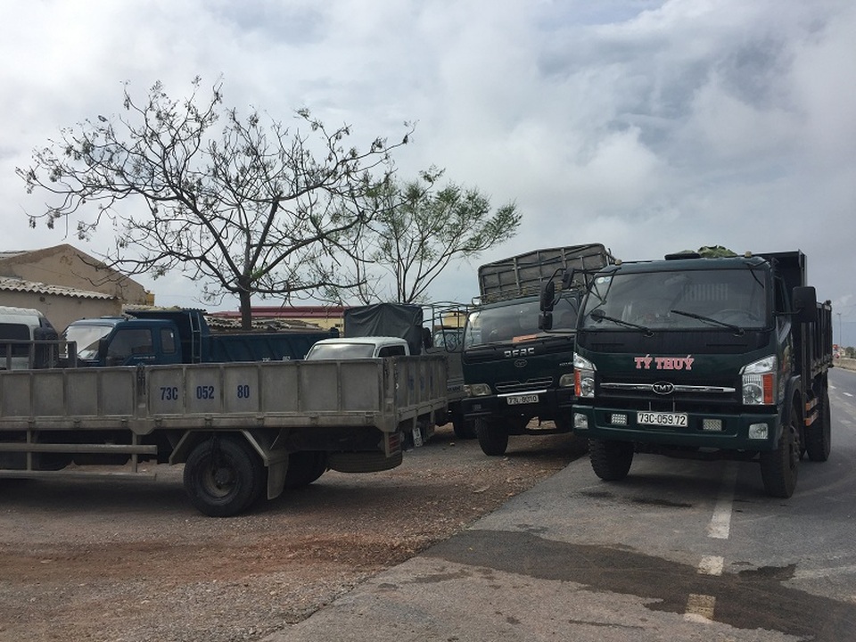 Người dân đổ xô đi mua ngói lợp nhà sau bão - 4
Xe tải xếp hàng chờ trước cổng một nhà máy tấm lợp Fibrocement