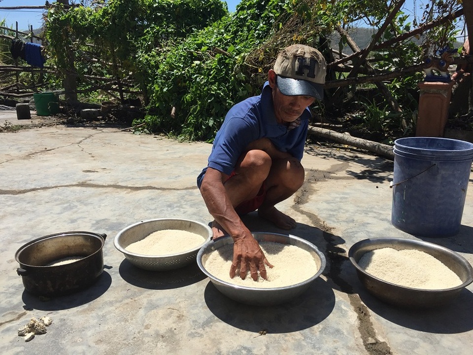 Ông Võ Thanh Hà ở xã Quảng Đông đang phởi lại số gạo bị ướt do mưa bão