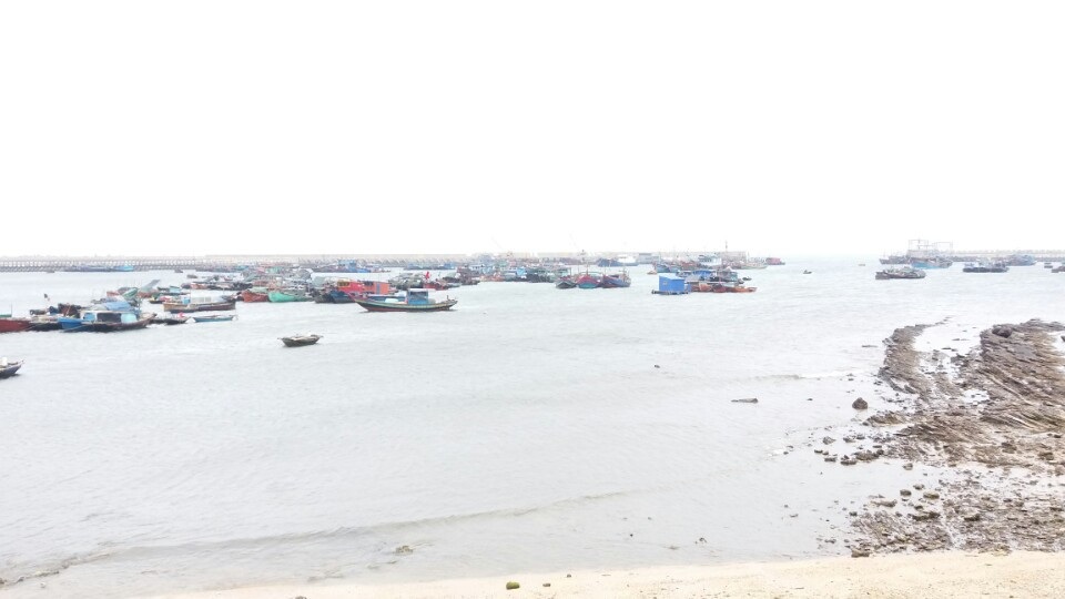 Tàu ngư dân từ các tỉnh vào neo đậu tại Bạch Long Vĩ không nhiều