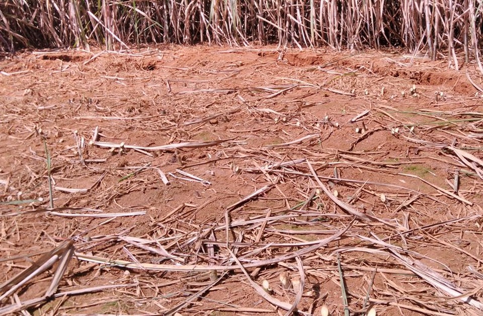 Xuất hiện hố sụt lún bất thường sâu hàng chục mét - 1 Hiện tượng nền đất có dấu hiệu sụt lún ban đầu