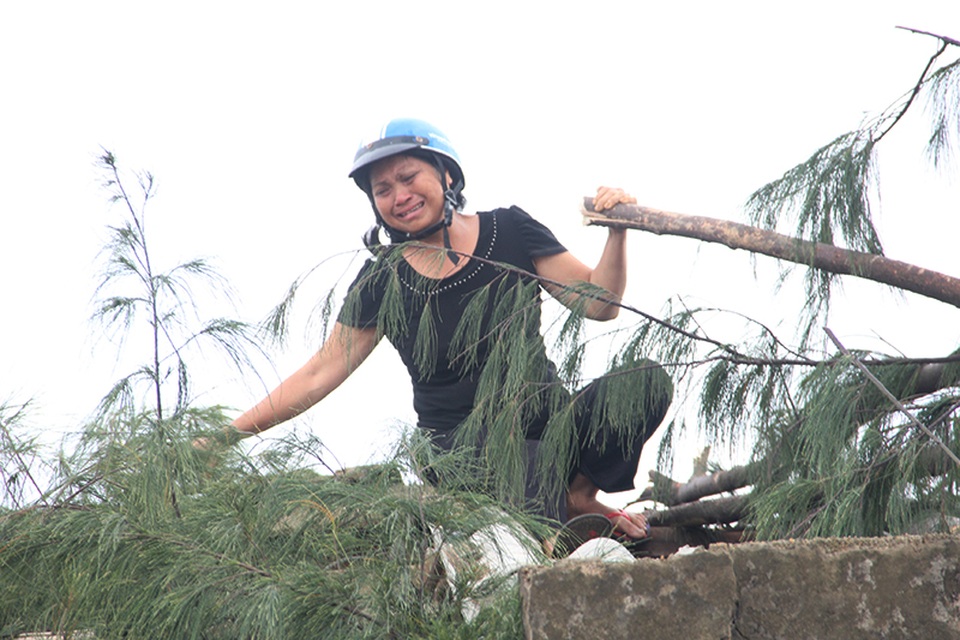 Vừa chặt cây đổ đè lên nhà, chị Phú khóc nức nở. Mẹ con chị vốn đã khó khăn, bão tàn phá như thế, không biết chuỗi ngày sắp tới mẹ con chị sẽ sống ra sao - chị Phú khóc ròng.