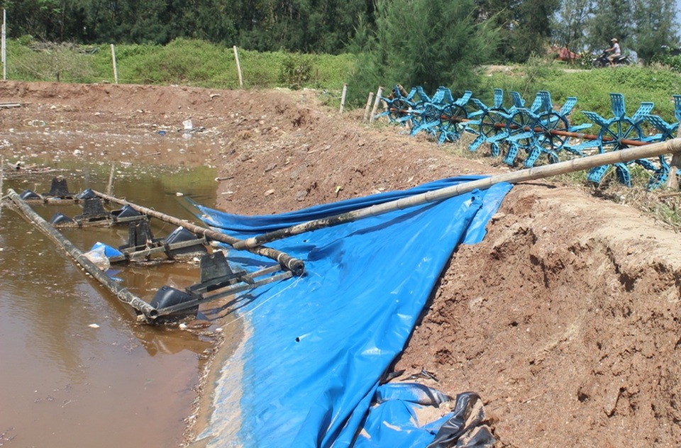 Những cánh đồng tôm tan hoang sau bão số 10 - 6 Thiệt hại do bão khiến nhiều hộ nuôi tôm rơi vào cảnh nợ nần