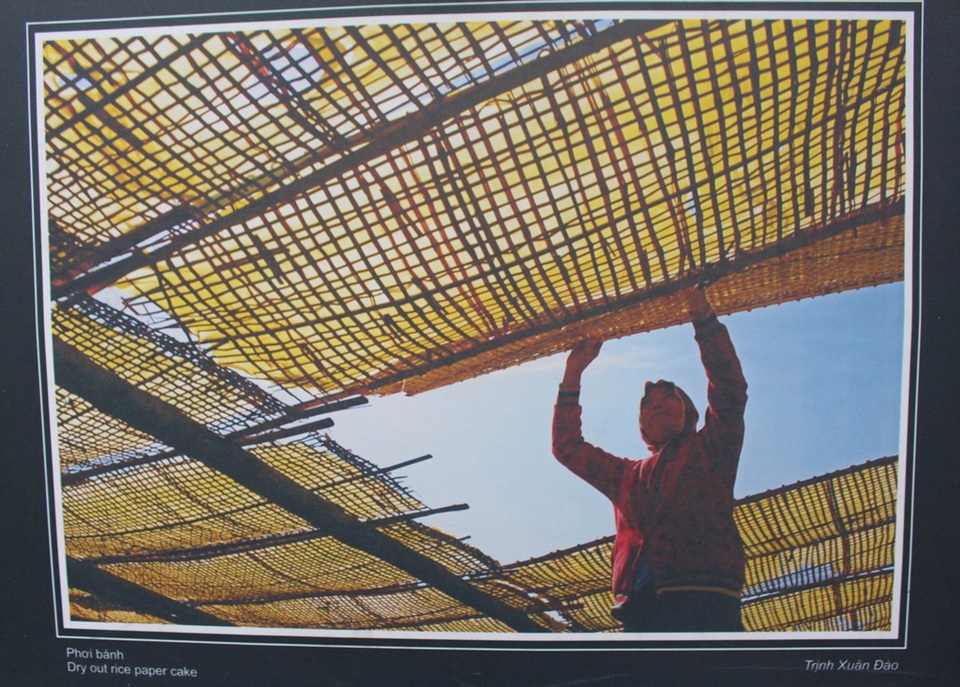Phơi bánh