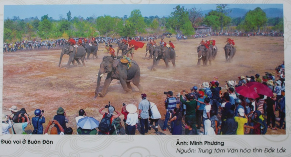 Đua voi Buôn Đôn, Đắc Lắc