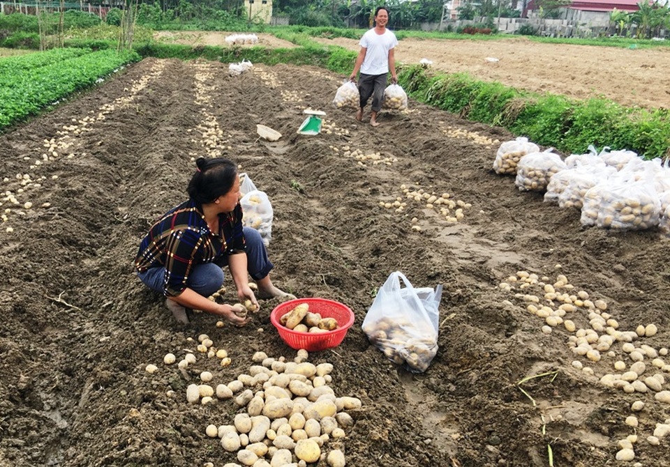 Thanh Hóa: Đầu tư 2.200 tỉ đồng đào tạo nghề phục vụ tái cơ cấu kinh tế - 2 Đào tạo nghề nhằm góp phần thúc đẩy tái cơ cấu kinh tế của tỉnh Thanh Hóa