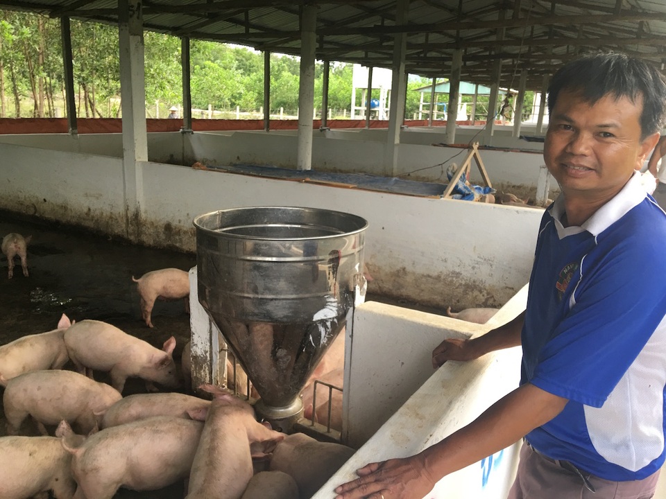 Giá thịt lợn vẫn cao mặc dù thuộc hàng đang... giải cứu - 2 Những trang trại nuôi heo gặp vô vàn khó khăn