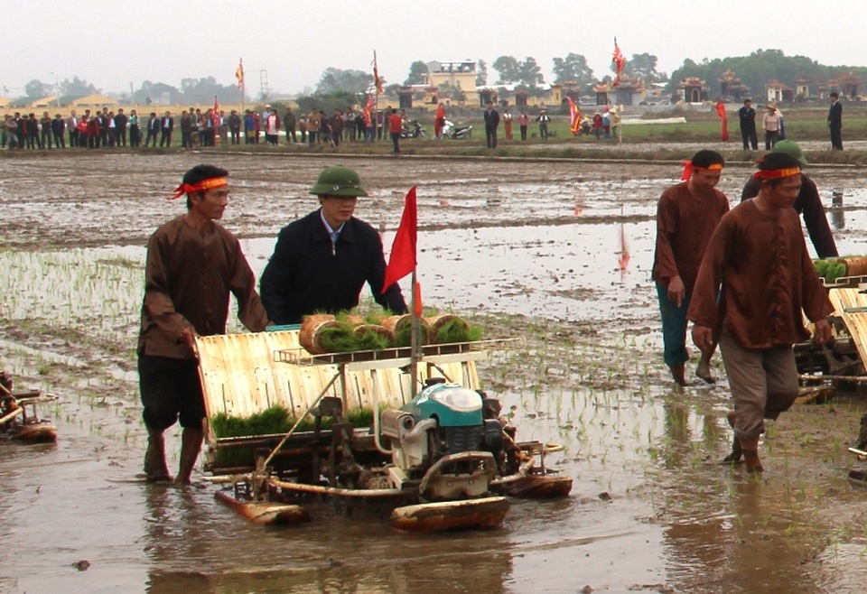 Thanh Hoá tổ chức lễ hội xuống đồng năm 2017 - 3
Ông Nguyễn Đình Xứng - Chủ tịch UBND tỉnh Thanh Hóa xắn quần lội ruộng cấy lúa