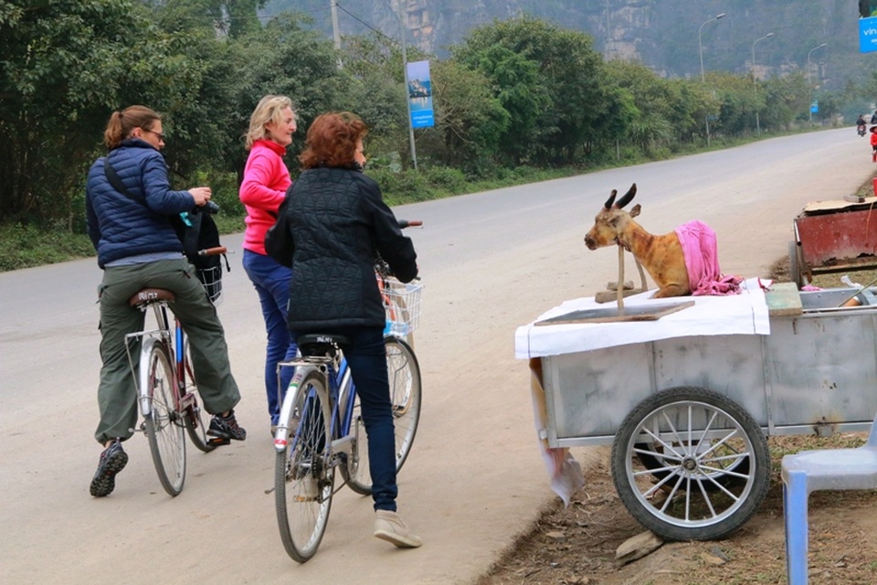 Những du khách nữ ái ngại khi nhìn thấy con dê bị giết thịt thui đen, nhe hàm răng bày bán ngay bên đường rất phản cảm.