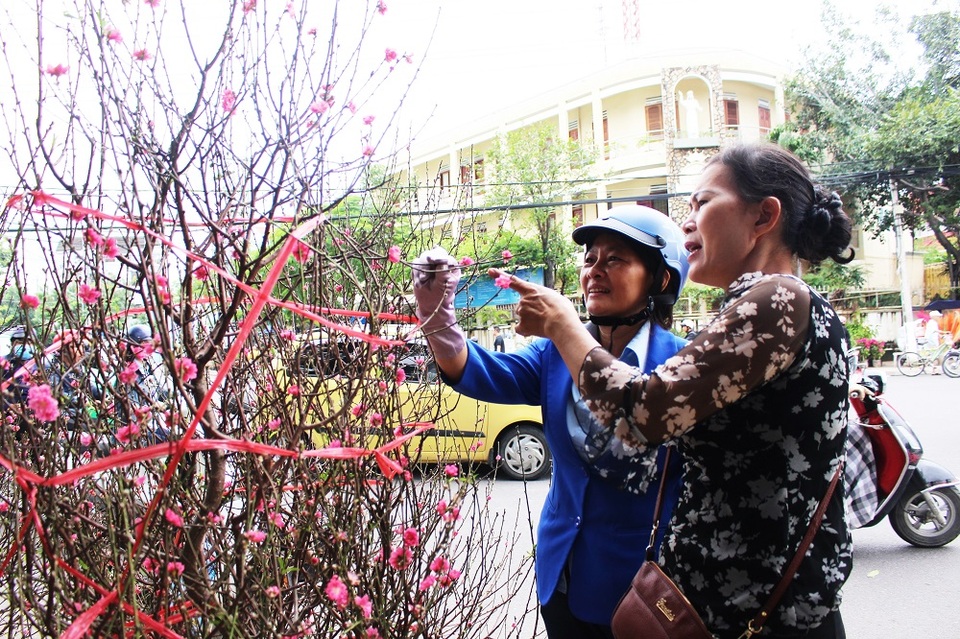 Trưa 17/1 (20 tháng Chạp) đường phố Nha Trang ngập tràn sắc xuân trên các tuyến phố lớn. Người dân phố biển cũng đã bắt đầu đổ đến các đường hoa để chọn cho gia đình những chậu hoa ưng ý nhất trước thềm Tết Nguyên đán Đinh Dậu