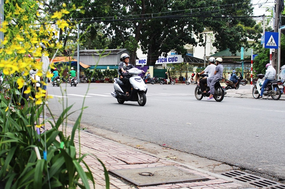 Những ngày này, đường phố Nha Trang ngập tràn sắc xuân