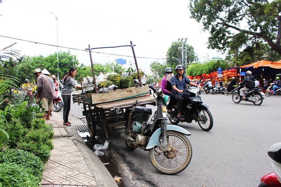 Hối hả vận chuyển hoa Tết tại Nha Trang trước thềm Tết Nguyên đán Đinh Dậu