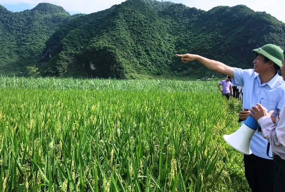 Thanh Hóa: Đầu tư 2.200 tỉ đồng đào tạo nghề phục vụ tái cơ cấu kinh tế - 1
Nông nghiệp là lĩnh vực được quan tâm đào tạo nghề