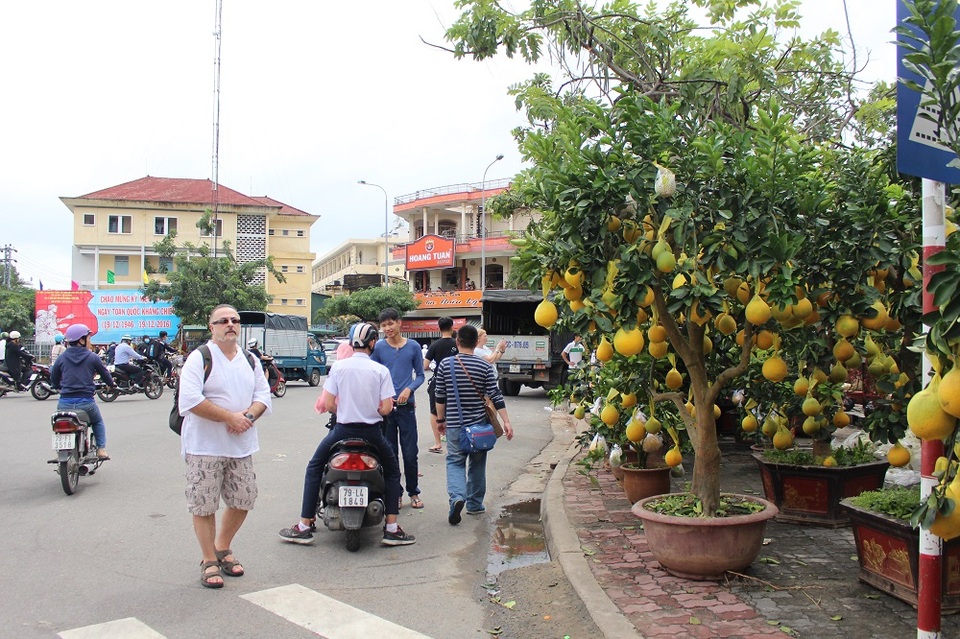 Bưởi diễn Hưng Yên "hét giá" 25 triệu đồng/chậu ở phố biển Nha Trang - 3 Không chỉ người dân mà nhiều du khách nước ngoài cũng thích thú với những cây bưởi sai quả, tràn trề sức sống khi mùa xuân về