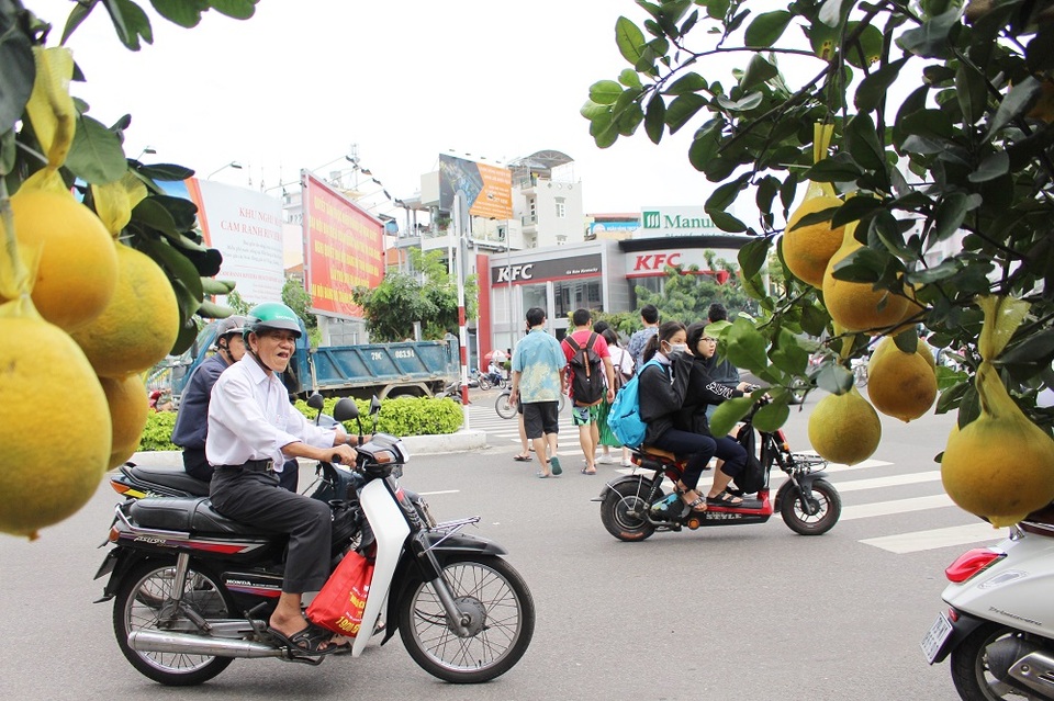 Bưởi diễn ở miền Bắc giữa lòng phố biển Nha Trang