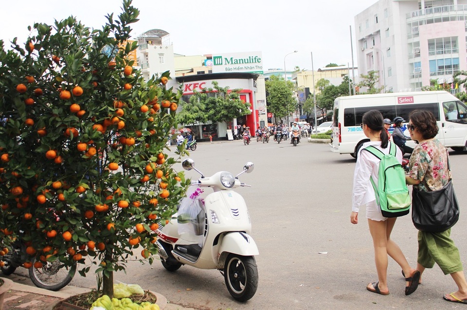 Du khách nước ngoài thích thú khám phá xuân ở phố biển