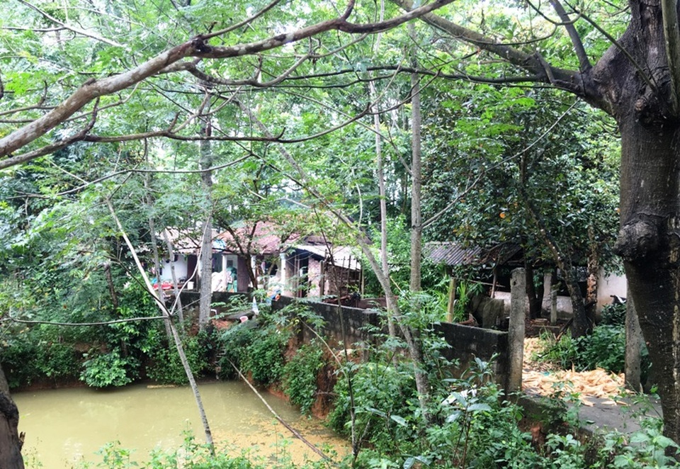 Vụ hổ vồ rách chân trẻ: Nuôi nhốt hàng chục con hổ sát khu dân cư - 2 Nhà dân ở ngay cạnh bờ rào trang trại hổ