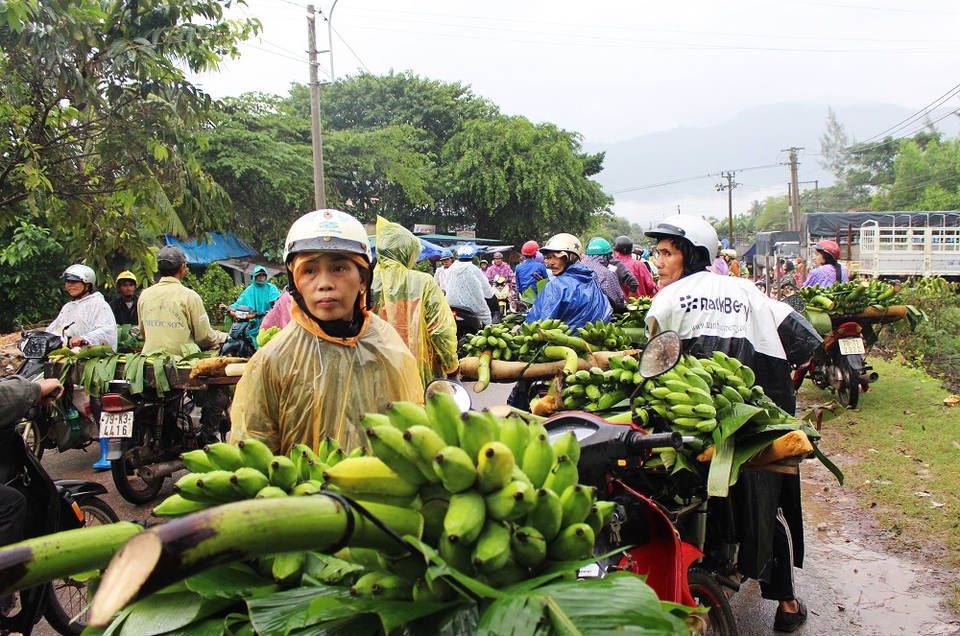 Nhộn nhịp chợ chuối Tết hơn 30 năm lớn nhất Nam Trung Bộ - 4 Nhộn nhịp chợ chuối Tết hơn 30 năm lớn nhất Nam Trung Bộ - 4