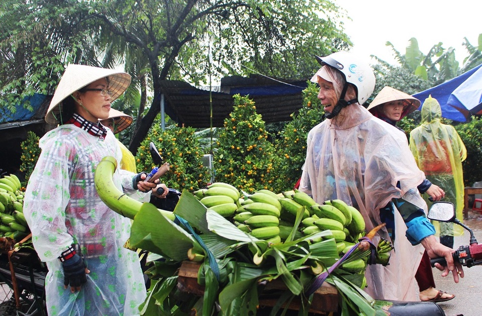 Nhộn nhịp chợ chuối Tết hơn 30 năm lớn nhất Nam Trung Bộ - 6 Cảnh mua bán nhộn nhịp từ sáng sớm và kéo dài đến trưa cùng ngày