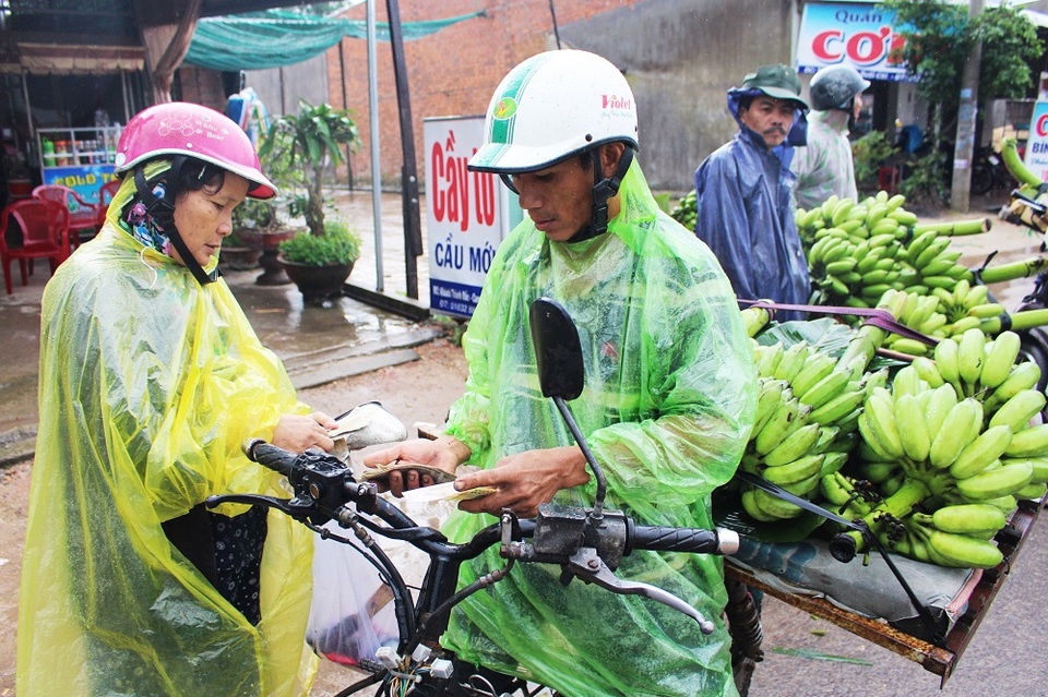Nhộn nhịp chợ chuối Tết hơn 30 năm lớn nhất Nam Trung Bộ - 7 Theo người dân, giá chuối năm nay giảm 15-20% so với mùa chuối Tết năm ngoái