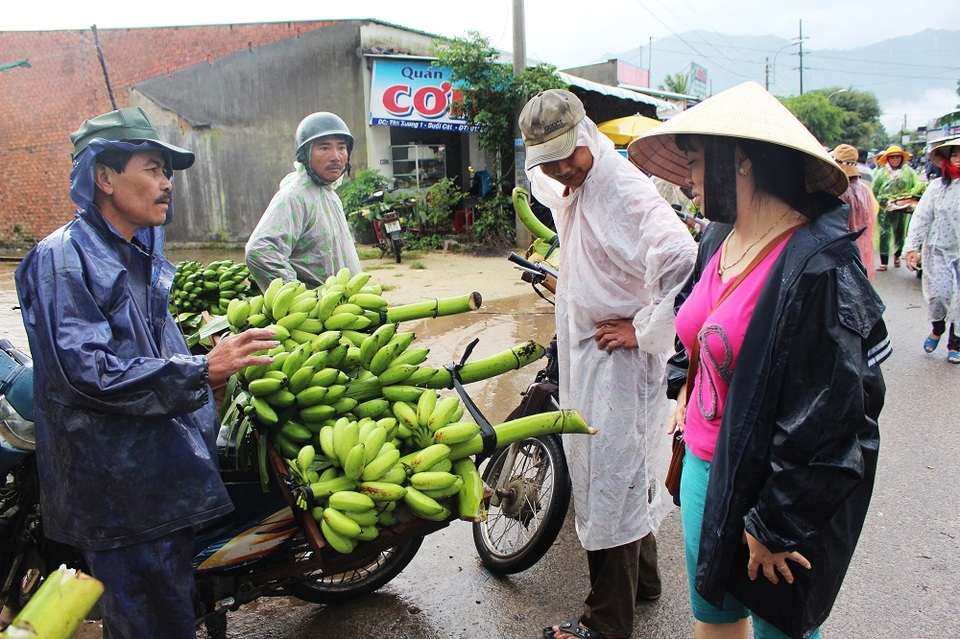 Nhộn nhịp chợ chuối Tết hơn 30 năm lớn nhất Nam Trung Bộ - 8 Nhộn nhịp chợ chuối Tết hơn 30 năm lớn nhất Nam Trung Bộ - 8