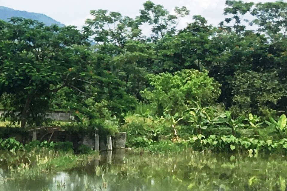 Người phụ nữ mất tích được phát hiện chết dưới ao hàng xóm - 1 Chị Dương được phát hiện đã tử vong cách nhà 120m
