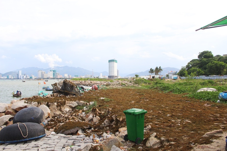Ngừng hoạt động toàn bộ dự án từng lấn Vịnh Nha Trang - 2 Tại khu vực dự án, đất đá ngổn ngang, cỏ dại mọc um tùm sau một thời gian dài không thi công