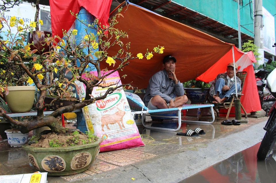 Chợ hoa "ế ẩm" vì hứng mưa giáp Tết Đinh Dậu - 1 Chợ hoa "ế ẩm" vì hứng mưa giáp Tết Đinh Dậu - 1