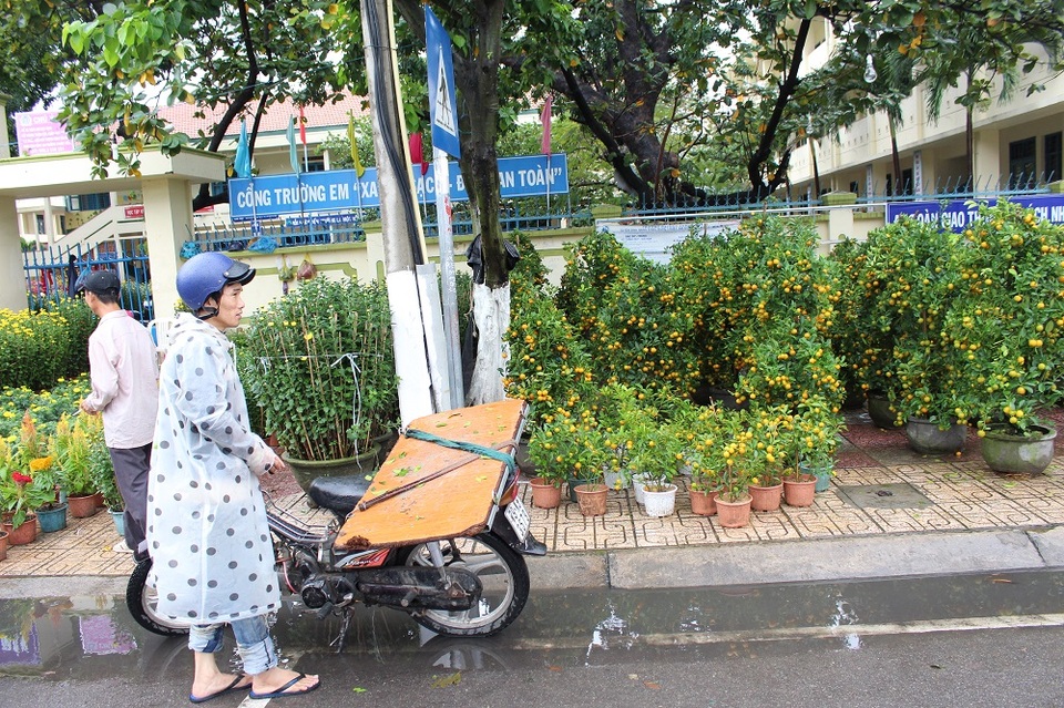 Chợ hoa "ế ẩm" vì hứng mưa giáp Tết Đinh Dậu - 5 Chợ hoa "ế ẩm" vì hứng mưa giáp Tết Đinh Dậu - 5