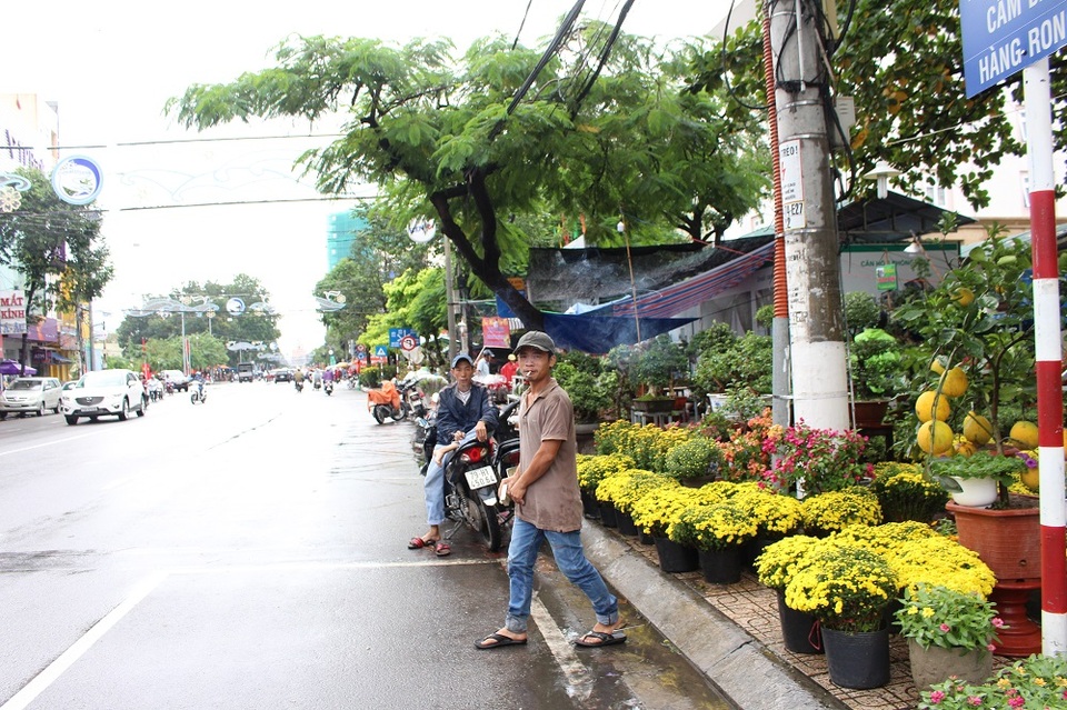 Chợ hoa "ế ẩm" vì hứng mưa giáp Tết Đinh Dậu - 4 Các thương lái cho biết, năm nay hoa Tết ế ẩm so với mọi năm do mưa kéo dài, người dân không đi mua