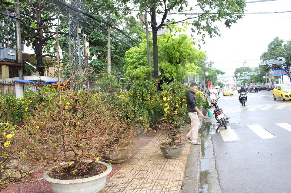 Chợ hoa "ế ẩm" vì hứng mưa giáp Tết Đinh Dậu - 6 Chợ hoa Tết Nha Trang đìu hiu so với mọi năm