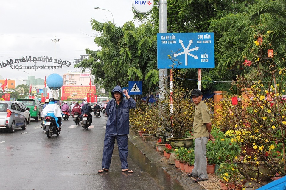 Chợ hoa "ế ẩm" vì hứng mưa giáp Tết Đinh Dậu - 2 Chợ hoa Tết Nha Trang thưa vắng khách vì hứng mưa ngày ngày Giáp Tết Đinh Dậu, sáng 25/1