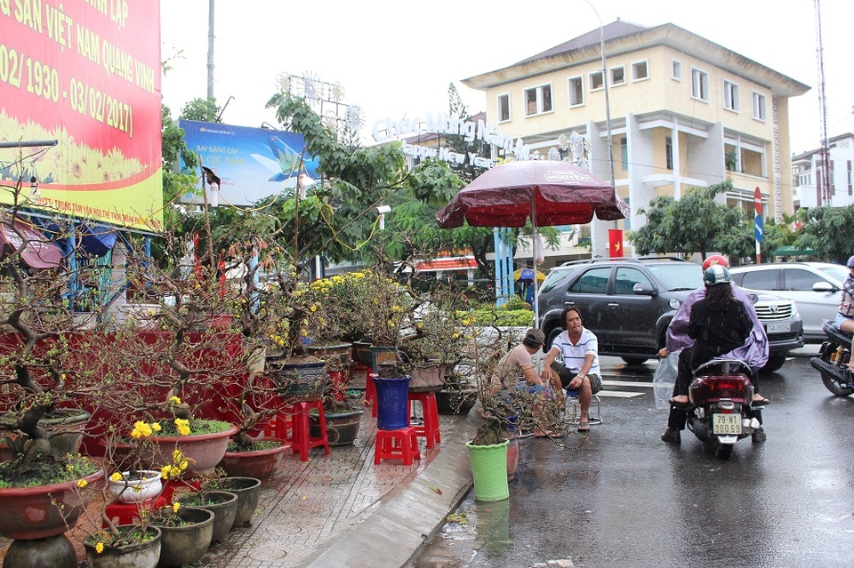 Chợ hoa "ế ẩm" vì hứng mưa giáp Tết Đinh Dậu - 8 Các thương lái ngóng khách nhưng cũng rất ít người ghé mua