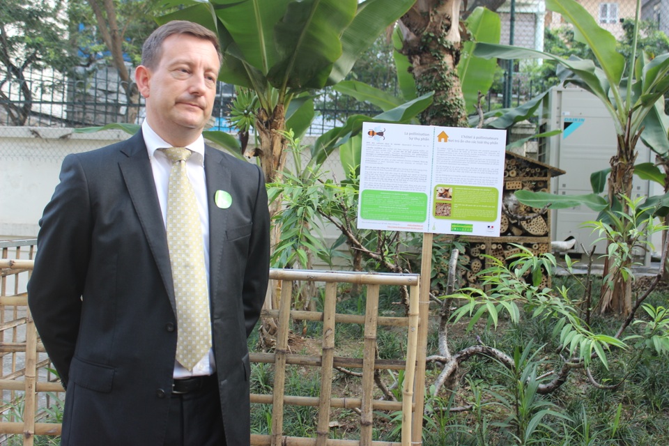 Hành trình phủ xanh Đại sứ quán Pháp tại Việt Nam - 5 Mô hình bằng gỗ phía sau Đại sứ Lortholary là tổ dụ côn trùng trong khuôn viên Đại sứ quán (Ảnh: Thành Đạt)