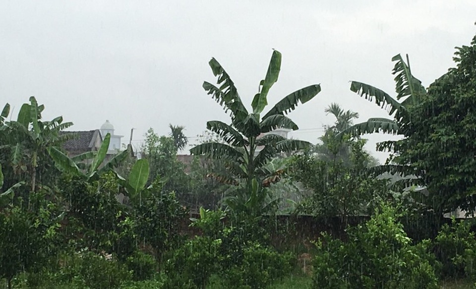 Bất chấp mưa bão, nhiều du khách vẫn "thản nhiên" tắm biển - 7 Nhiều địa phương tại Thanh Hóa đã có mưa lớn