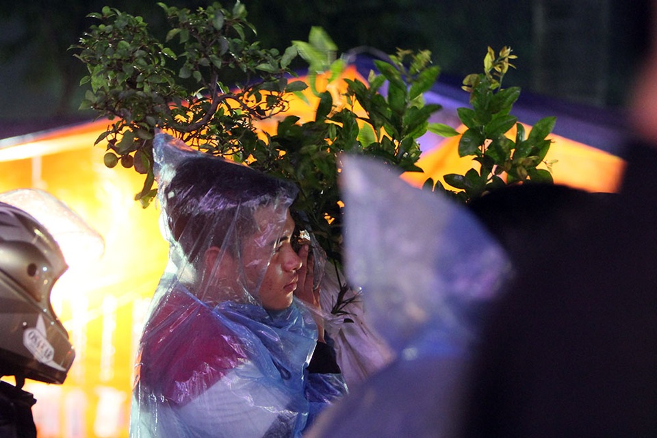 Các loại cây xanh bán chạy hơn cả.