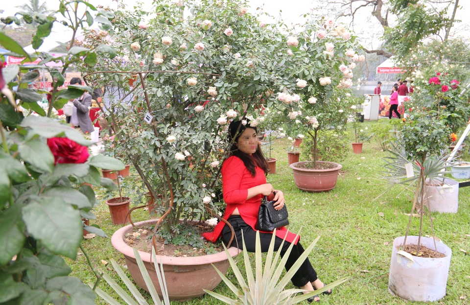 Bất lực bảo vệ Lễ hội hoa hồng - 7
Thậm chí là ngồi dưới các chậu hoa để tạo dáng chụp ảnh.