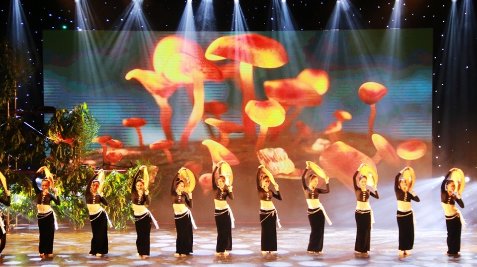 Khai mạc liên hoan Múa quốc tế 2017 - 6