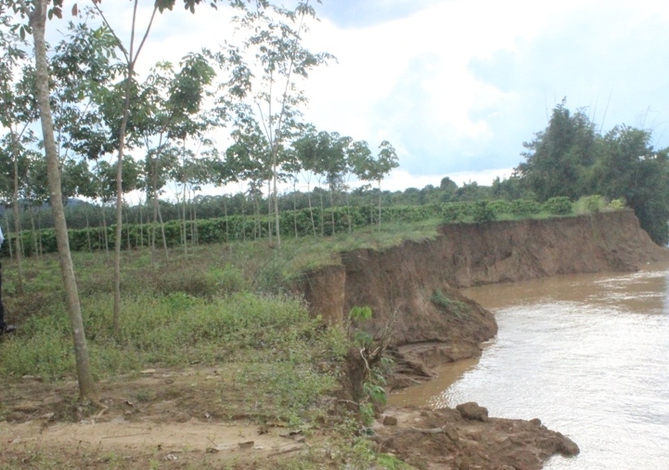 Tinh trạng sạt lở đất bất thường ở Lâm Đồng kéo dài khiến nhiều diện tích cây trồng của người dân bị hư hại