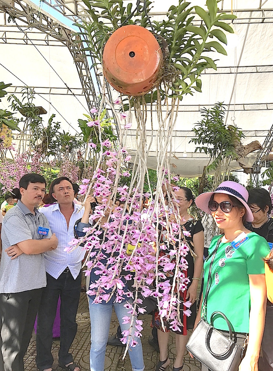 Mãn nhãn trước "rừng" lan khoe sắc - 16 Mãn nhãn trước "rừng" lan khoe sắc - 16