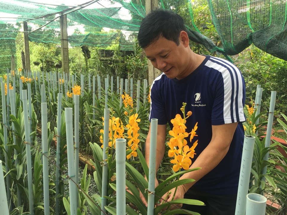 Những thầy giáo trồng lan cải thiện đời sống - 2 Thầy Nguyễn Hồng Quí- giáo viên trường THPT Quang Trung (Củ Chi) chăm sóc vườn hoa lan của mình