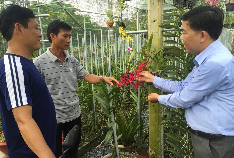Những thầy giáo trồng lan cải thiện đời sống - 1 Thầy Cải (phải) và thầy Quí (bìa trái) cùng trao đổi về kỹ thuật trồng hoa lan