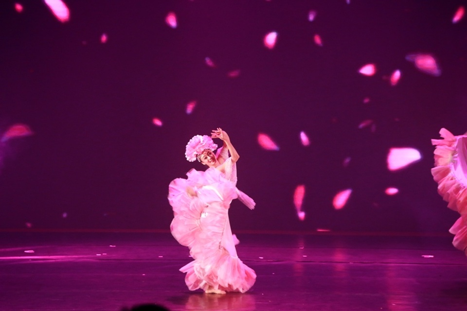 Việt Nam giành 4 HCV, 10 HCB tại liên hoan Múa quốc tế 2017 - 5