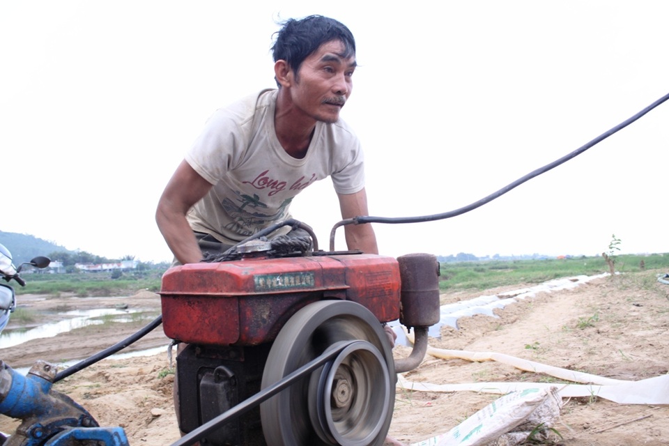 
Người nông dân cần mẫn chăm sóc những ruộng dưa hấu
