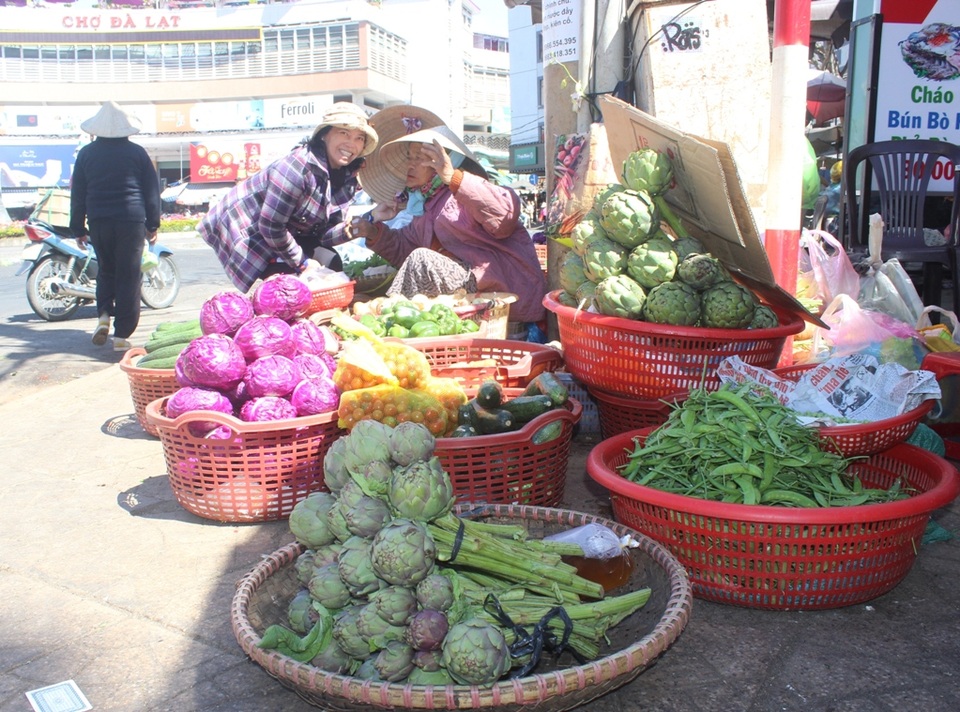 Rau Đà Lạt khan hàng, tăng giá cao - 1 Khan hiếm hàng, nhiều loại rau Đà Lạt tăng giá cao