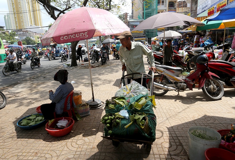 Mục sở thị chợ "Se duyên kết tóc" lâu đời nhất Sài Gòn - 7 Trầu cua được lấy chủ yếu từ vùng Bà Điểm, ngoài ra còn nhập các loại trầu cau từ miền Tây, Quảng Ngãi...