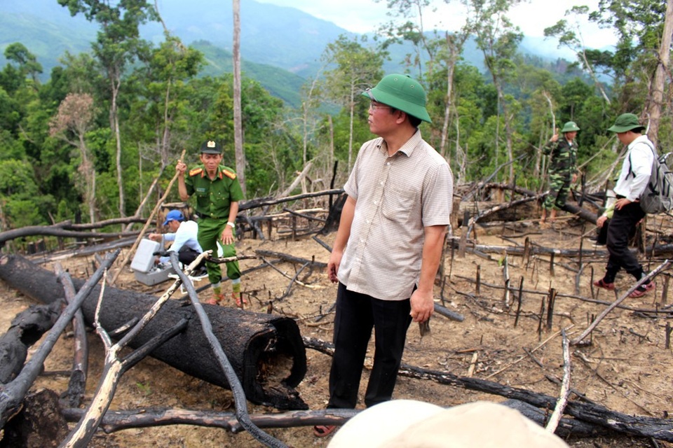 Hàng loạt cán bộ, đảng viên bị kỷ luật vì không giữ được rừng - 1 Phó Chủ tịch tỉnh Quảng Nam – ông Lê Trí Thanh khảo sát hiện trường vụ phá rừng