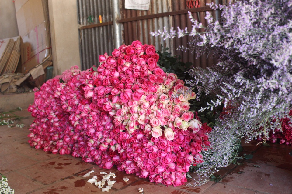 Cận lễ 20/11, hoa tươi Đà Lạt tăng giá nhẹ - 1 Cận lễ 20/11, các loại hoa Đà Lạt chỉ tăng giá nhẹ