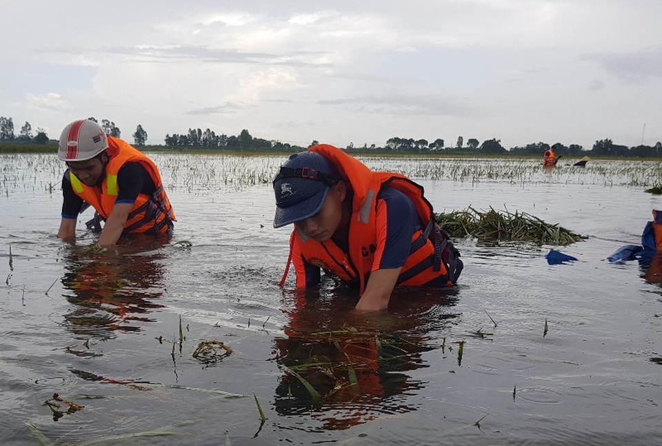 
Nước trên những cánh đồng ngập sâu ngang người.
