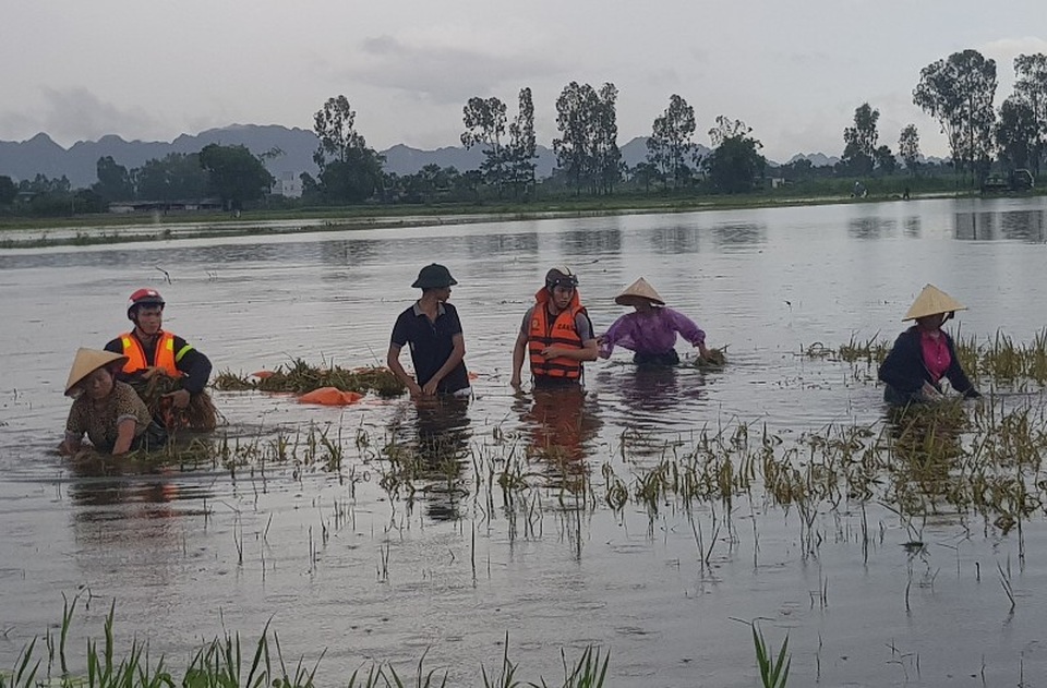 Cảnh sát PCCC tỉnh Thanh Hóa đã xuống đồng giúp dân gặt lúa