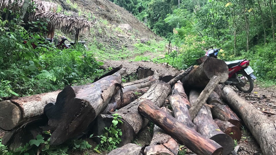 Hàng loạt cán bộ huyện bị kỷ luật vì không giữ được rừng - 14 Hàng loạt cán bộ huyện bị kỷ luật vì không giữ được rừng - 14